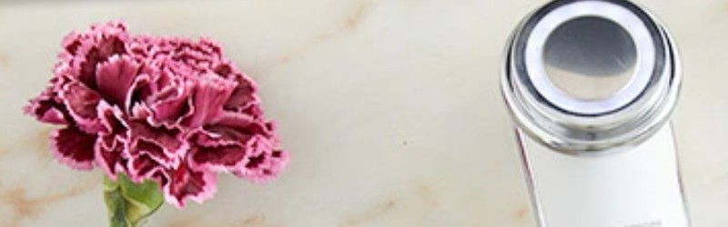 ������ЃX�^�[�A�x�j���[�̑I�ׂ����폁�����ʃZ�b�g���T�C�g